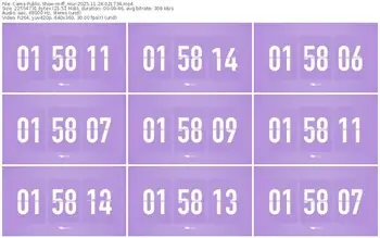 cams-ff_mur-11-24-2025-02-17-34