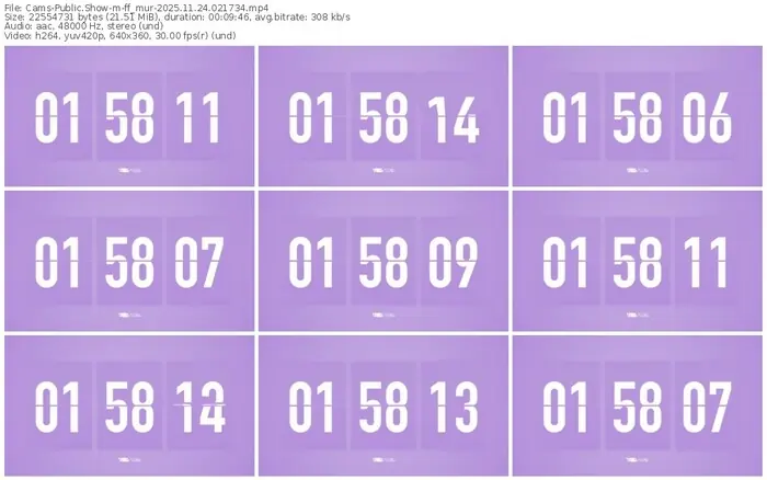 cams-ff_mur-11-24-2025-02-17-34