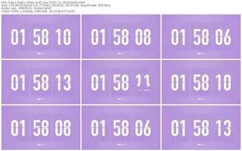 cams-ff_mur-11-24-2025-02-30-40