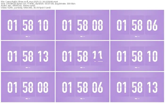 cams-ff_mur-11-24-2025-02-30-40