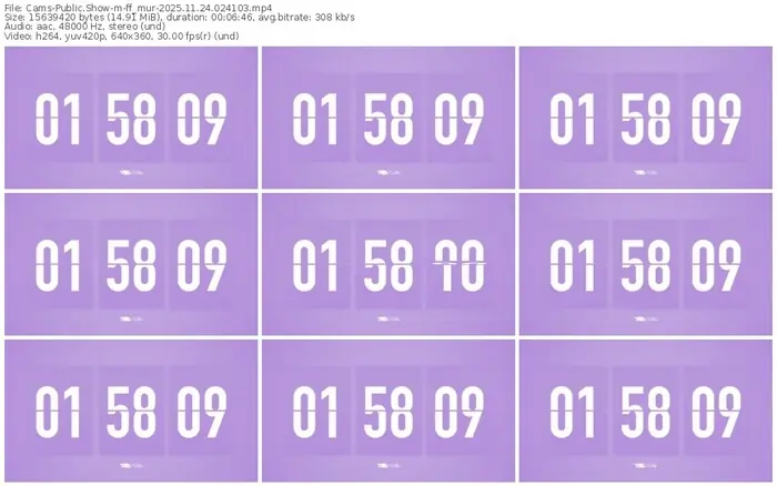 cams-ff_mur-11-24-2025-02-41-03