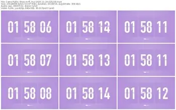 cams-ff_mur-11-24-2025-02-52-30