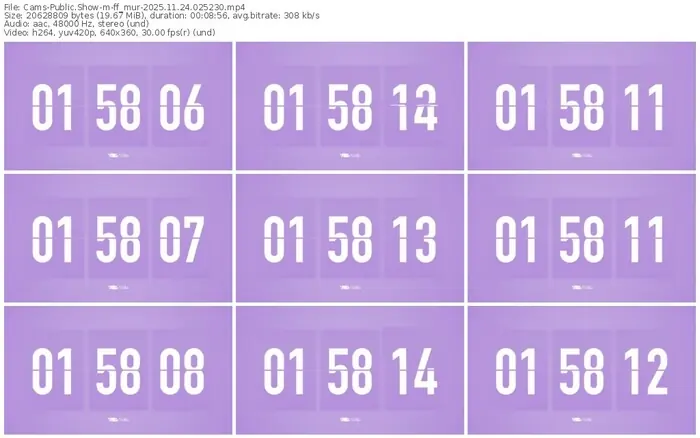 cams-ff_mur-11-24-2025-02-52-30