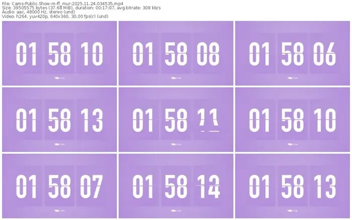 cams-ff_mur-11-24-2025-03-45-35
