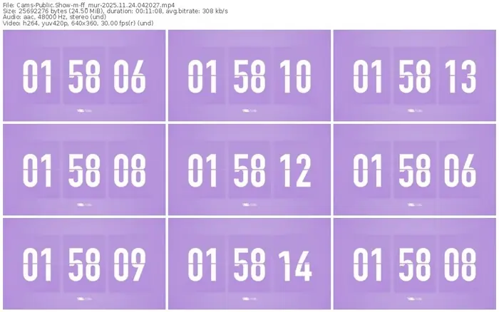 cams-ff_mur-11-24-2025-04-20-27