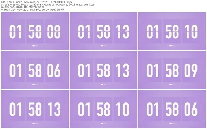 cams-ff_mur-11-24-2025-04-31-38