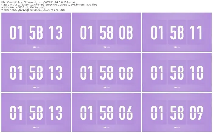 cams-ff_mur-11-24-2025-04-41-17