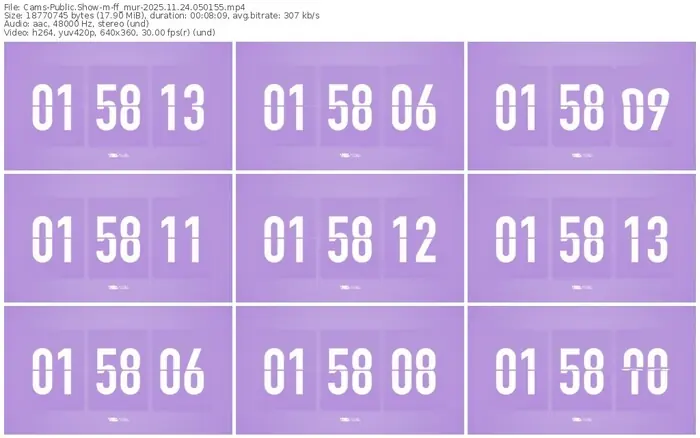 cams-ff_mur-11-24-2025-05-01-55