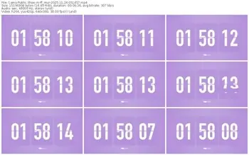 cams-ff_mur-11-24-2025-05-14-57