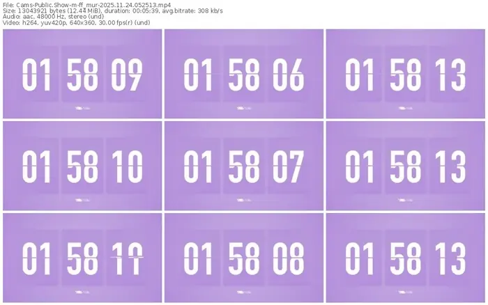 cams-ff_mur-11-24-2025-05-25-13