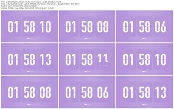 cams-ff_mur-11-24-2025-05-55-21