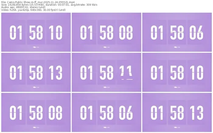 cams-ff_mur-11-24-2025-05-55-21