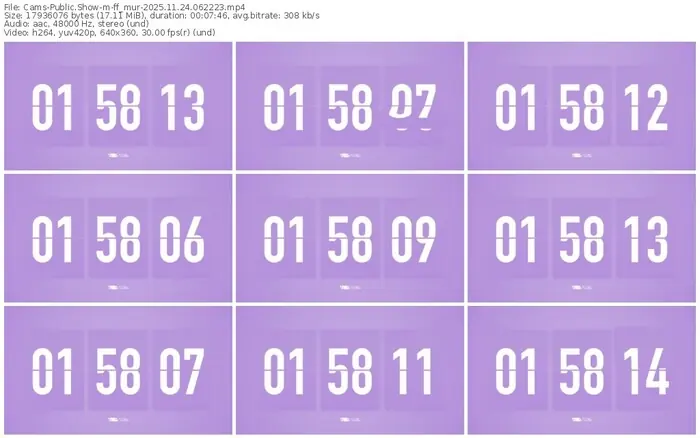 cams-ff_mur-11-24-2025-06-22-23