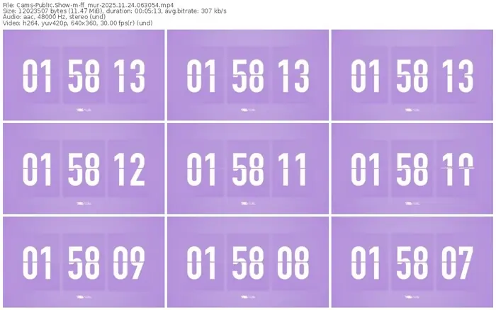 cams-ff_mur-11-24-2025-06-30-54