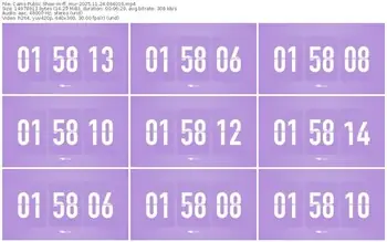 cams-ff_mur-11-24-2025-06-40-16