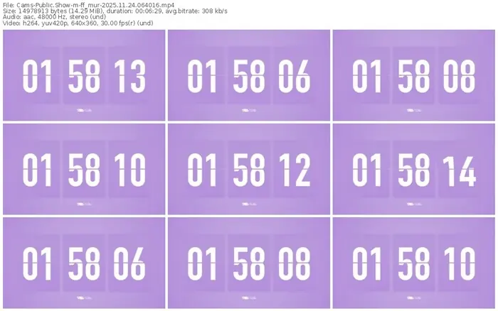cams-ff_mur-11-24-2025-06-40-16