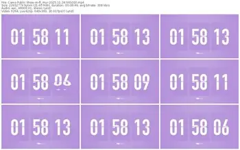 cams-ff_mur-11-24-2025-06-50-00