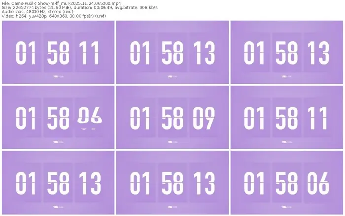 cams-ff_mur-11-24-2025-06-50-00