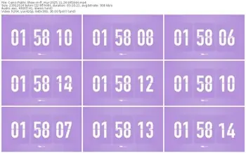 cams-ff_mur-11-24-2025-06-59-44