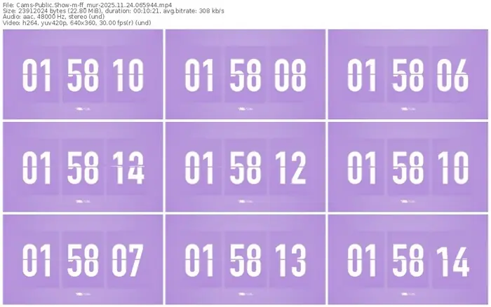 cams-ff_mur-11-24-2025-06-59-44