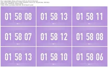 cams-ff_mur-11-24-2025-07-17-02