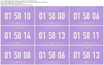 cams-ff_mur-11-24-2025-07-32-02