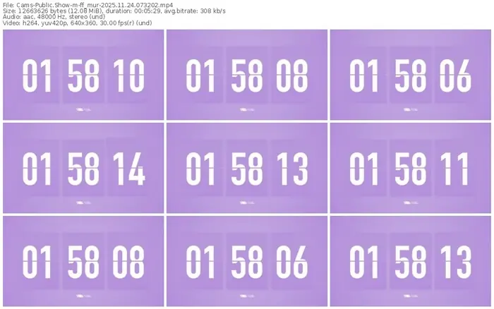 cams-ff_mur-11-24-2025-07-32-02