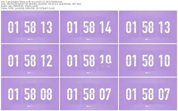 cams-ff_mur-11-24-2025-07-56-08