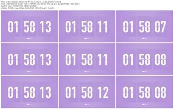 cams-ff_mur-11-24-2025-08-27-15