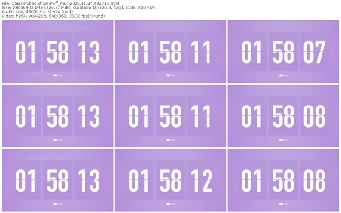 cams-ff_mur-11-24-2025-08-27-15