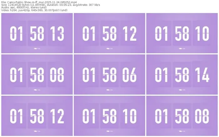 cams-ff_mur-11-24-2025-08-50-52