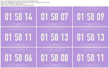 cams-ff_mur-11-24-2025-09-03-22