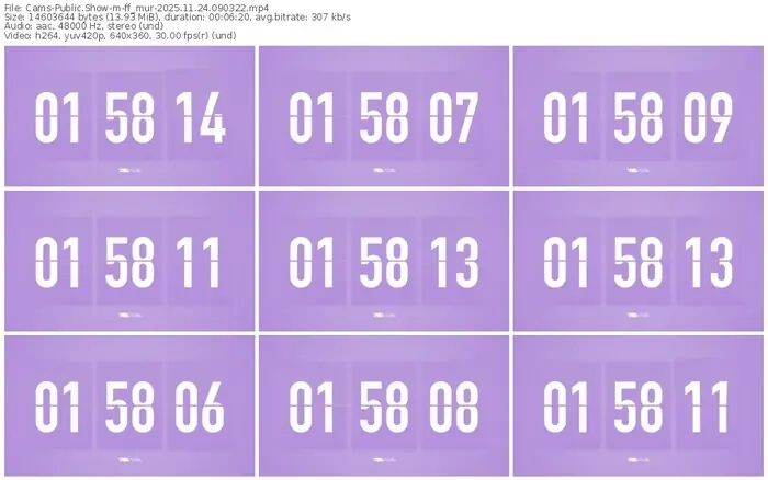 cams-ff_mur-11-24-2025-09-03-22