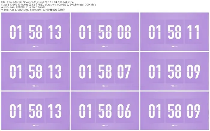 cams-ff_mur-11-24-2025-09-09-44