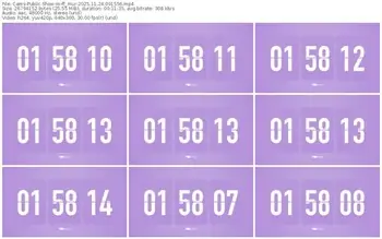 cams-ff_mur-11-24-2025-09-15-56