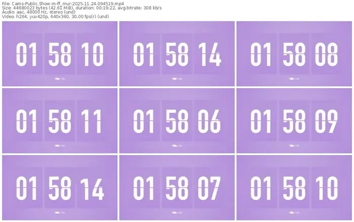 cams-ff_mur-11-24-2025-09-45-19