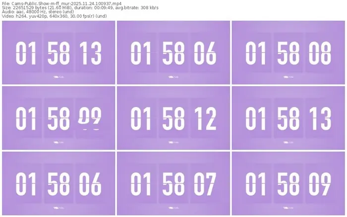 cams-ff_mur-11-24-2025-10-09-37