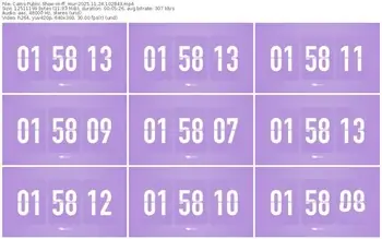 cams-ff_mur-11-24-2025-10-28-43