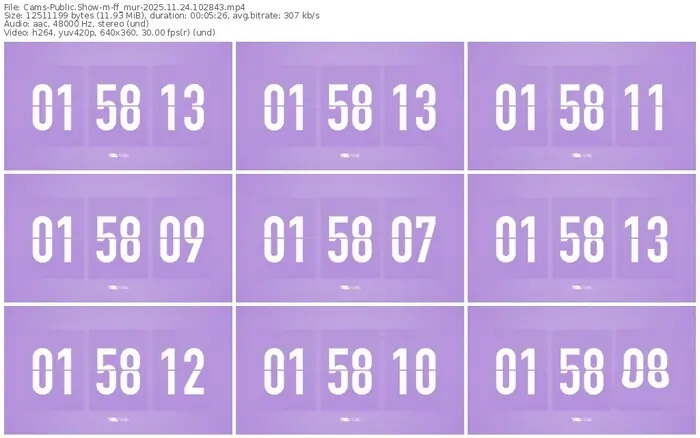 cams-ff_mur-11-24-2025-10-28-43