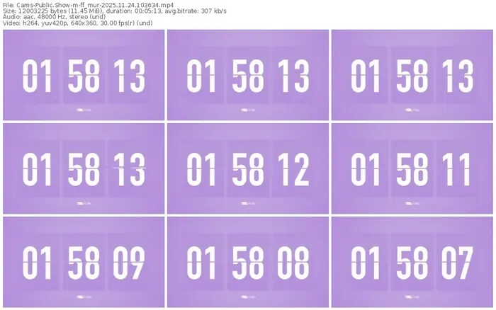 cams-ff_mur-11-24-2025-10-36-34