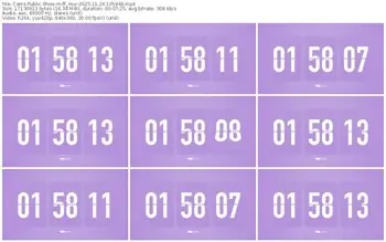 cams-ff_mur-11-24-2025-10-59-48