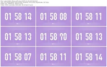 cams-ff_mur-11-24-2025-11-07-18