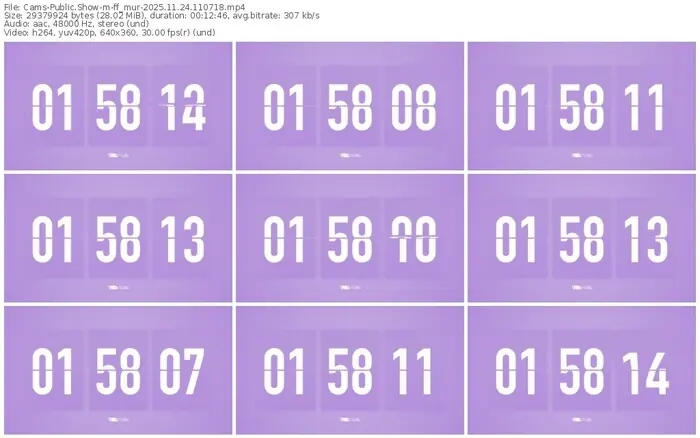 cams-ff_mur-11-24-2025-11-07-18