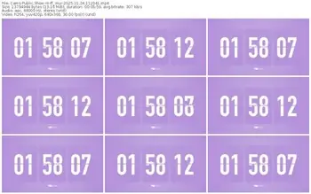 cams-ff_mur-11-24-2025-11-20-41