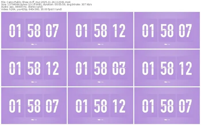 cams-ff_mur-11-24-2025-11-20-41