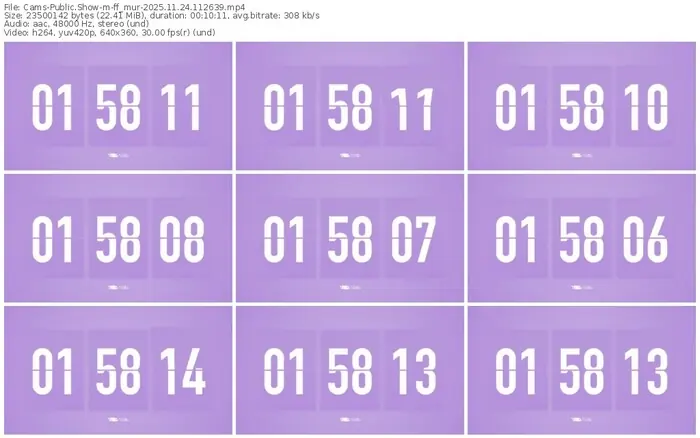 cams-ff_mur-11-24-2025-11-26-39