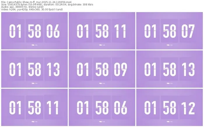cams-ff_mur-11-24-2025-12-06-59