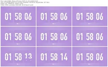 cams-ff_mur-11-24-2025-12-44-42