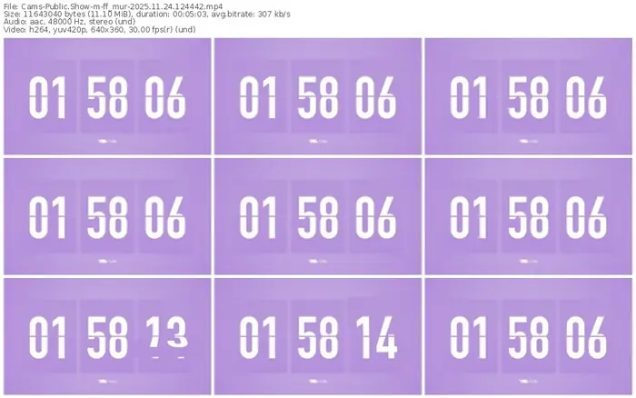 cams-ff_mur-11-24-2025-12-44-42