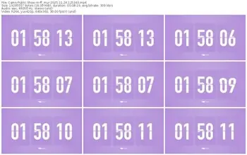 cams-ff_mur-11-24-2025-12-53-43